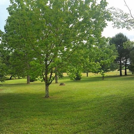 Une pause nature chez Marion et Cédric Montignac-Toupinerie Extérieur photo