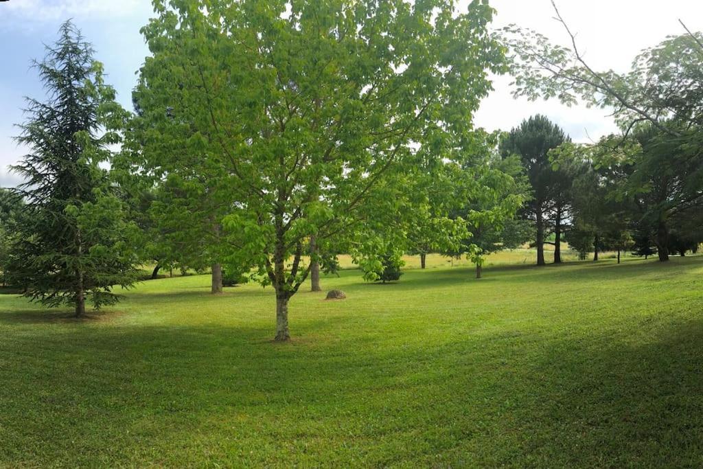 Une pause nature chez Marion et Cédric Montignac-Toupinerie Extérieur photo